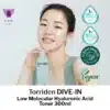 hero-image---torriden-dive-in-toner